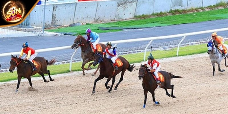 Đào tạo sau đó nhận chứng chỉ chuyên môn